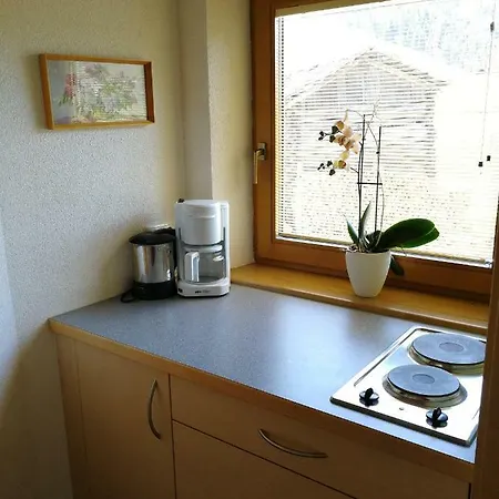 Haus Holzer Apartman Kals-am Großglockner
