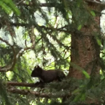 Apartmán Haus Holzer