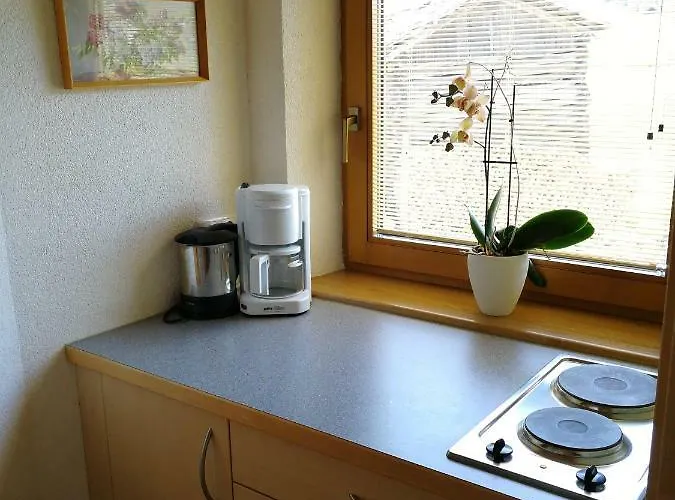 Haus Holzer Apartmán Kals-am Großglockner